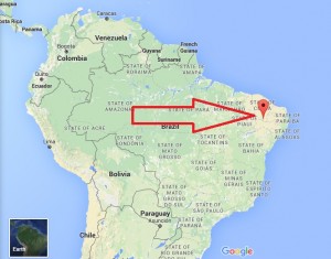 zika-virus-2 (1)